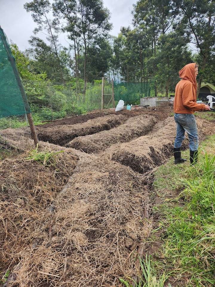 Mulching raised beds 