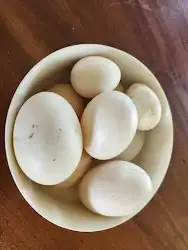 Goose, Duck and chicken eggs.