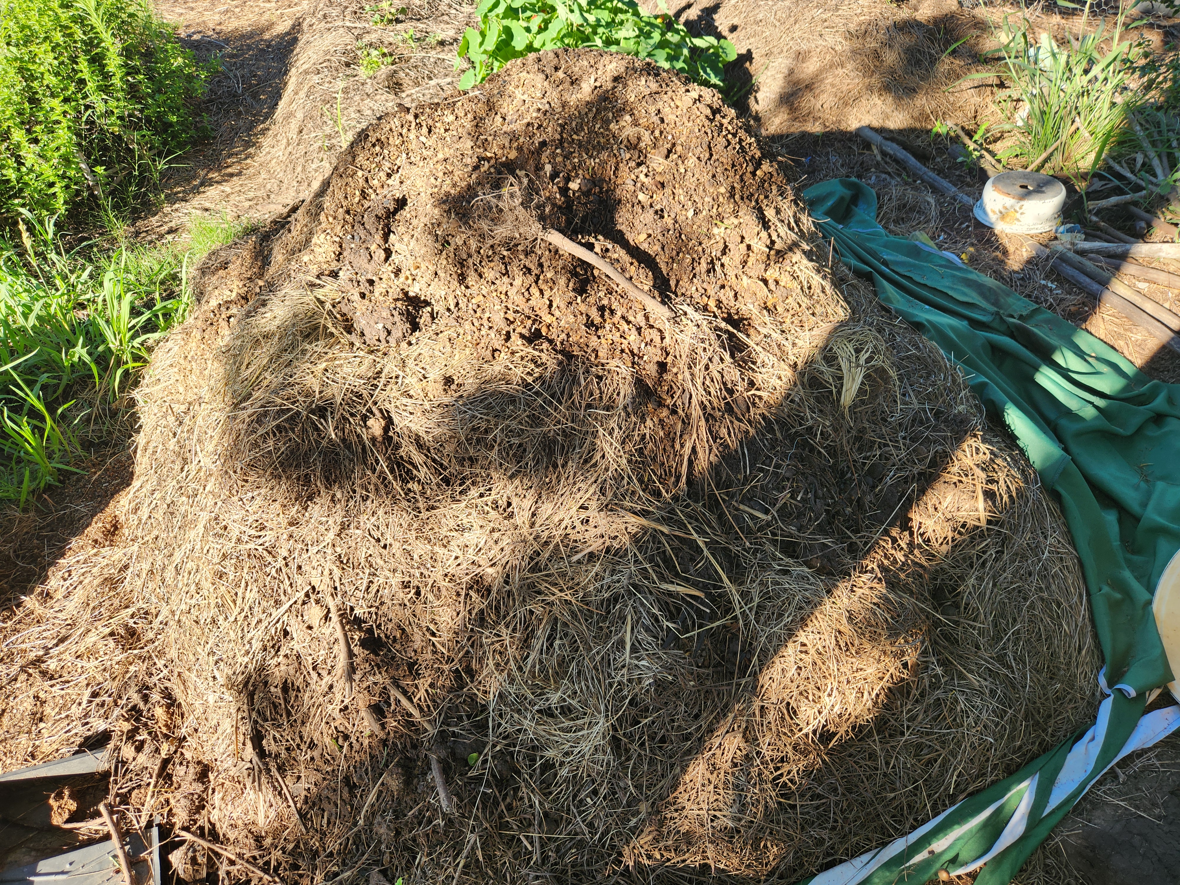 Compost heap